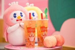 蜜雪冰城加盟店5种奶茶配料

 